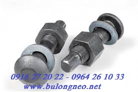 bulong-s10t